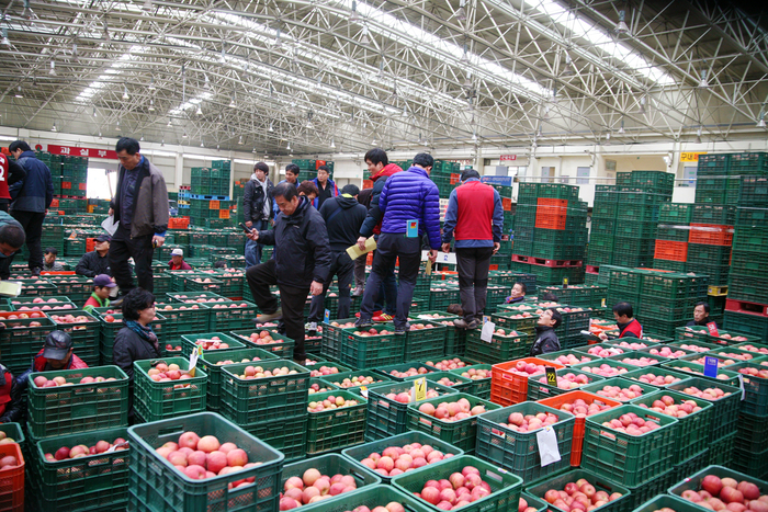 신정 연휴 맞아 안동 도매시장 휴장
