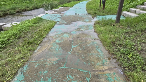 12월29일 현재 구리시 갈매천 산책로