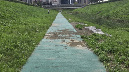 12월29일 현재 구리시 갈매천 산책로