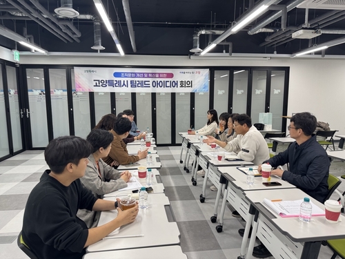 고양특례시 '팀 레드' 아이디어 회의