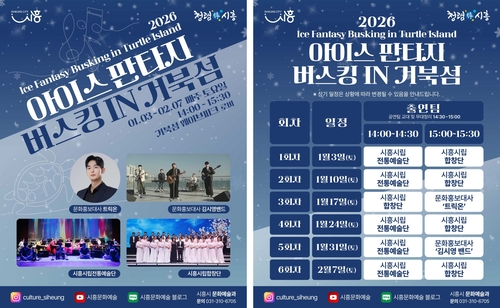 시흥시 '아이스 판타지 버스킹 인 거북섬' 포스터