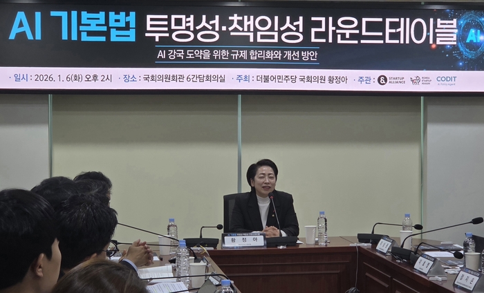 6일 오후 서울 여의도 국회의원회관에서 열린  'AI 기본법 투명성·책임성 라운드테이블'에서 더불어민주당 황정아 의원이 발언하고 있다. (사진=고