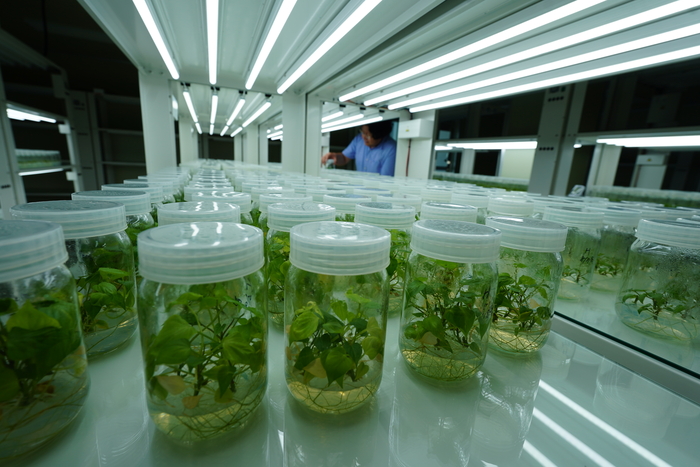 해남군 농업연구단지, 전국 최대 미래농업 플랫폼으로 조성