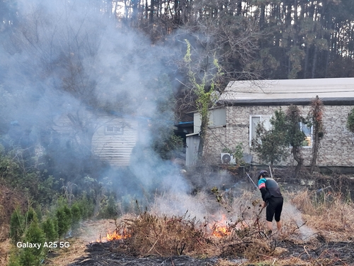 안산시 단원구 대부도 폐기물 불법소각 집중단속