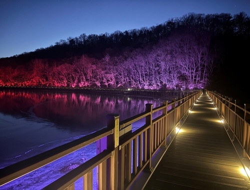 파주시 공릉호수 야간경관