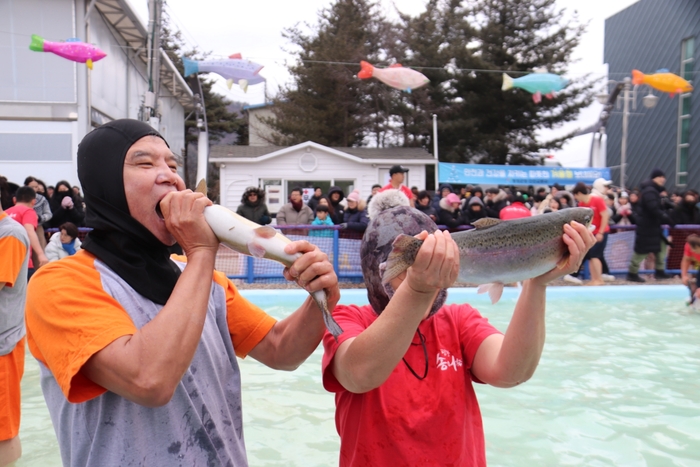 17회평창송어축제