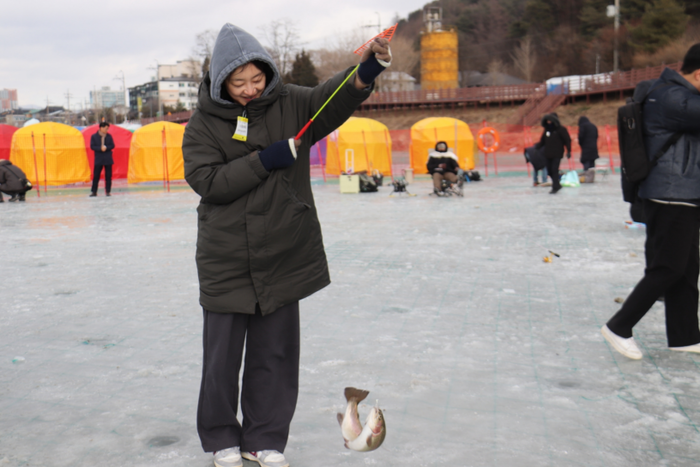 17회평창송어축제