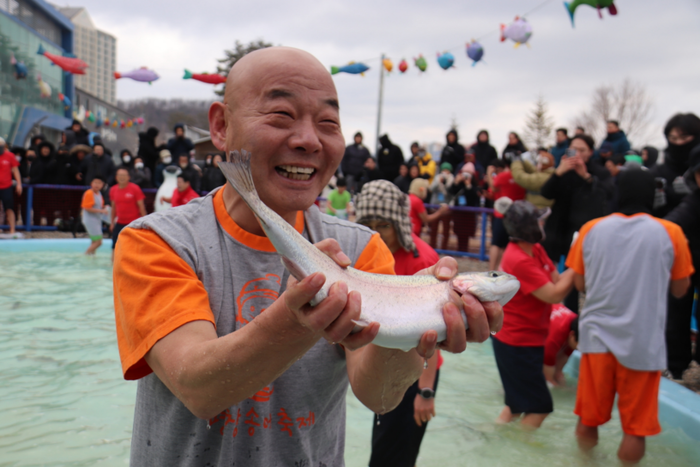 17회 평창송어축제