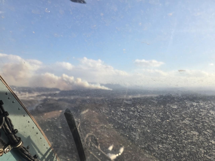 의성군, 산불 확산에 의성읍 일대 주민에 대피 명령