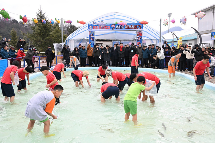 17회 평창송어축제