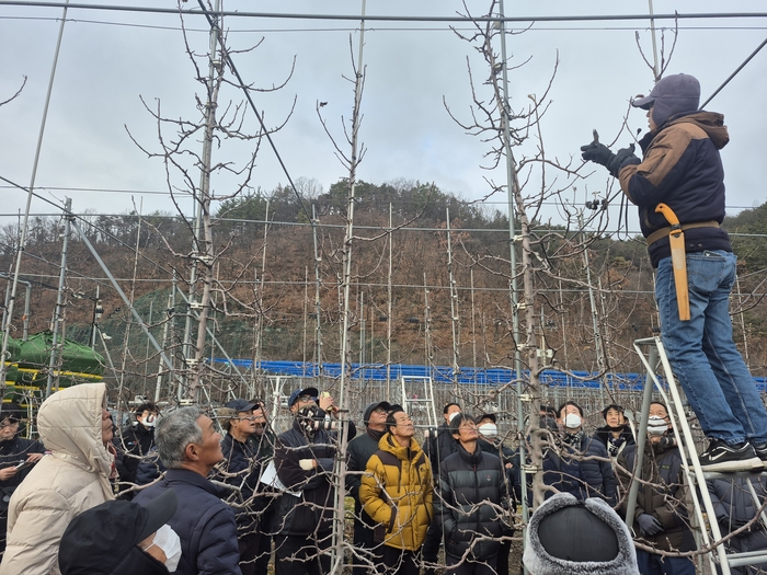경상북도농업기술원, 현장형 농업교육 강화