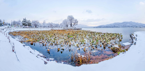 양평군 세미원  두물머리
