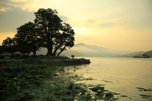 양평군 세미원  두물머리
