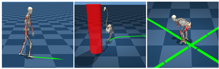 reeMusco를 통해 인간형·동물형·가상 근골격 캐릭터가 형태에 맞는 이동 전략으로 다양한 태스크를 수행하는 모습 (자료=한양대)