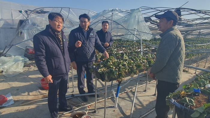 경북농협, 강풍 피해 농가 현장 점검