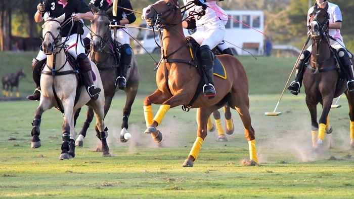 3200억 원 투입 '경주 코리아 폴로파크 관광단지'…경북 관광 지형 바꾼다