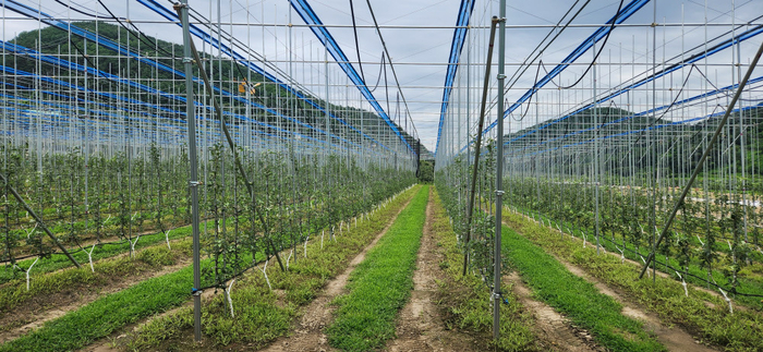예천군농업기술센터, 63억 투입