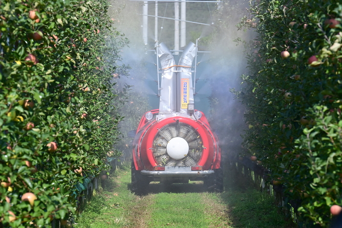 청송사과, 미래형 재배기술로 경쟁력 재정비