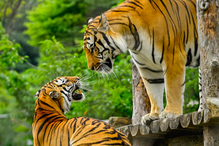 사계절을 미리 만나는 국립백두대간수목원, 전시·시설 모두 업그레이드