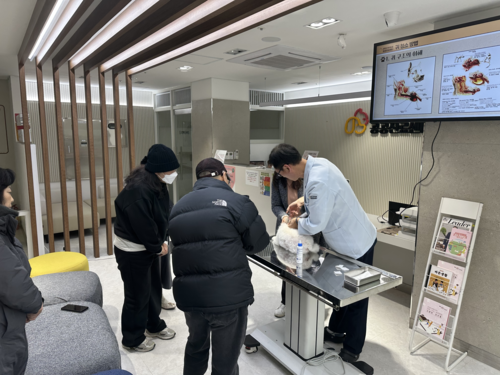 김포시 반려동물 공공진료센터 진료 현장