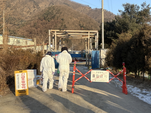 포천시 아프리카돼지열병(ASF) 확진 현장점검