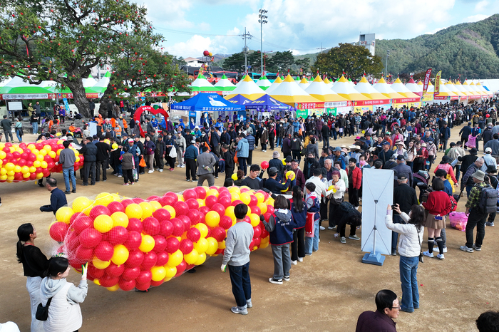 청송사과축제, 2026~2027 문화관광축제 재지정