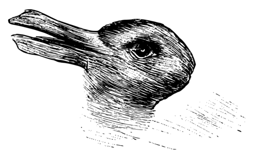 철학자 루트비히 비트겐슈타인이 철학적 탐구에서 언급한 '오리-토끼' 도상