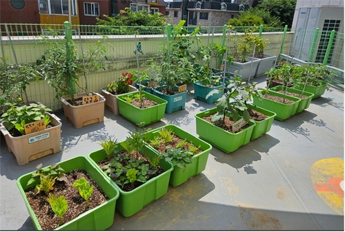 의왕시 쑥쑥텃밭 상자텃밭 조성 현장