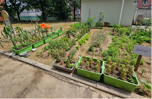 의왕시 쑥쑥텃밭 상자텃밭 조성 현장