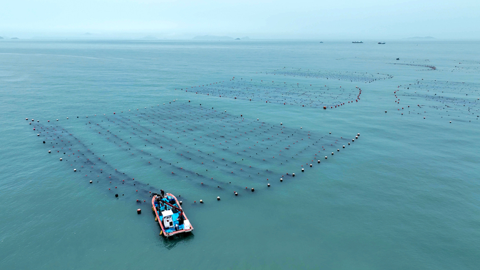 완도군, 해조류·전복 산업 기후 위기 대응 전략 마련