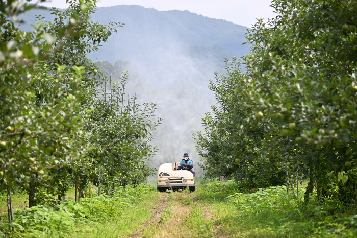 청송군, 2026년 과수분야 지원사업 본격 추진…농가 경쟁력 강화 나선다