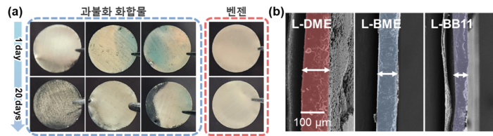 (a)여러 과불화 화합물들과 벤젠의 리튬에 대한 반응성 비교 (b)각 전해질 별 리튬 성장 거동 비교 (자료=한양대)