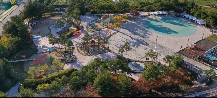 놀이에서 진로까지