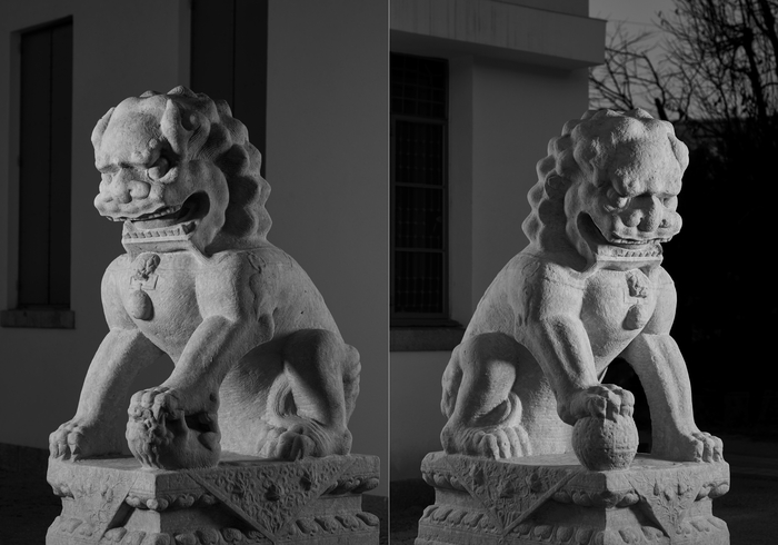 중국에 기증하는 석사자상