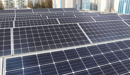 尹 정부서 기소된 태양광 시공업자들, 李 정부에 선처 호소