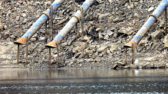 정부, 4대강 취·양수장 개선 ‘속도전’…극한 가뭄과 녹조 대응 위해