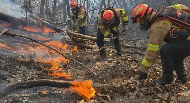 경주 산불 진화하는 소방대원들