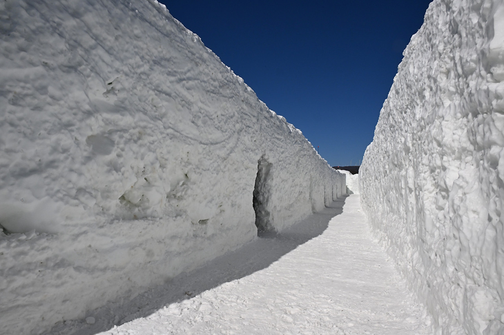 제34회 대관령눈꽃축제