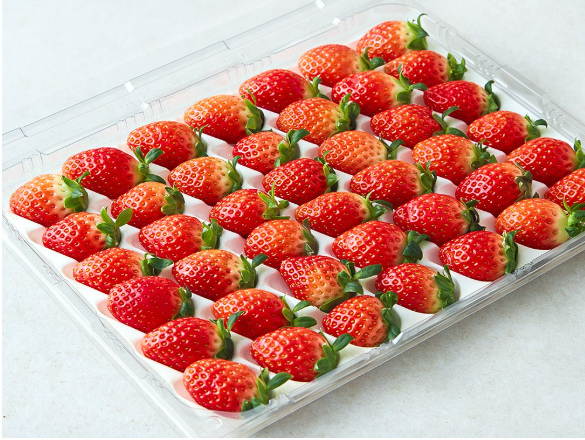 쿠팡이 충남 논산시와 협업해 베이커리 겸 데코용 상품화해 내놓는 딸기 제품. 사진=쿠팡