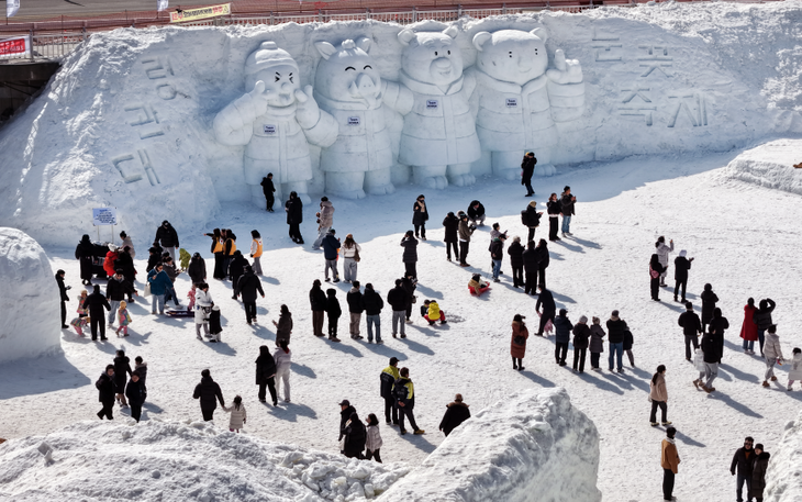 제34회 평창 대관령눈꽃축제