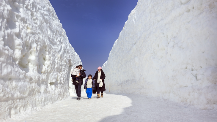 제34회 평창 대관령눈꽃축제