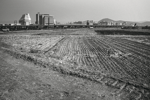 1995년 안산시 고잔뜰 전경