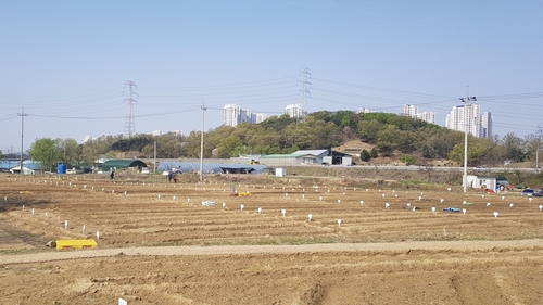 남양주시 '2026년 정약용 도시텃밭' 분양