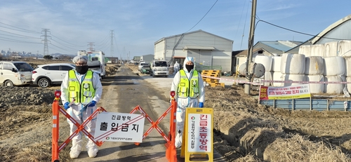 고양특례시 구제역 발생 농가 현장