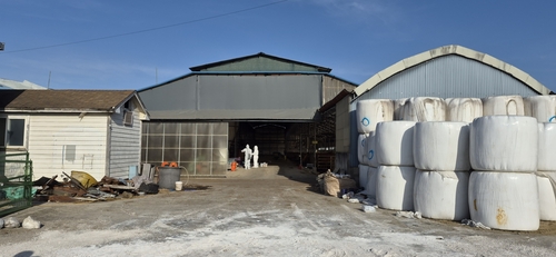 고양특례시 구제역 발생 농가 현장