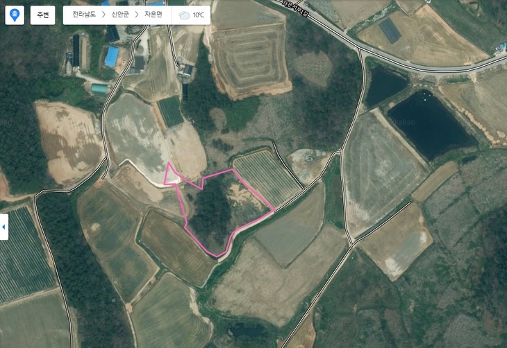 도덕성 외치던 인사 가족, 불법 산림훼손…신안군, 조사 후 검찰 송치 예정