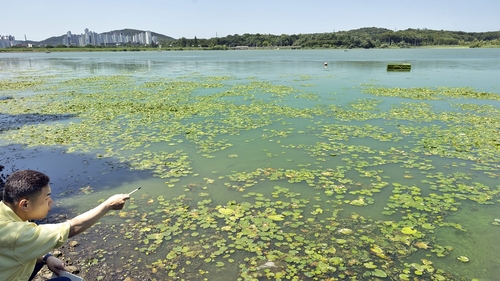 한채훈 의왕시의회 의원 왕송호수 녹조 현장 방문