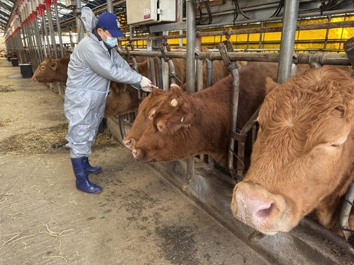 고양특례시 가축전염병 예방백신 일제 접종