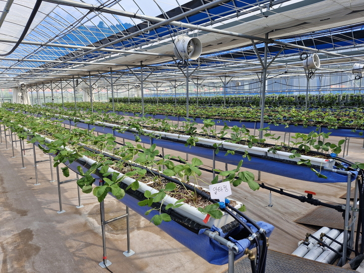 안동시, 스마트농업 전환 가속