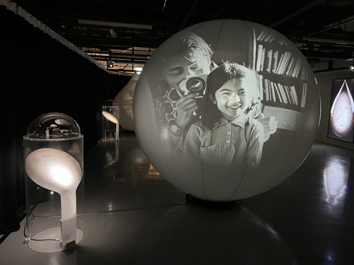 고양특례시 2025년 10월 '빛의 공간 환상을 비추다 시즌3' 개최